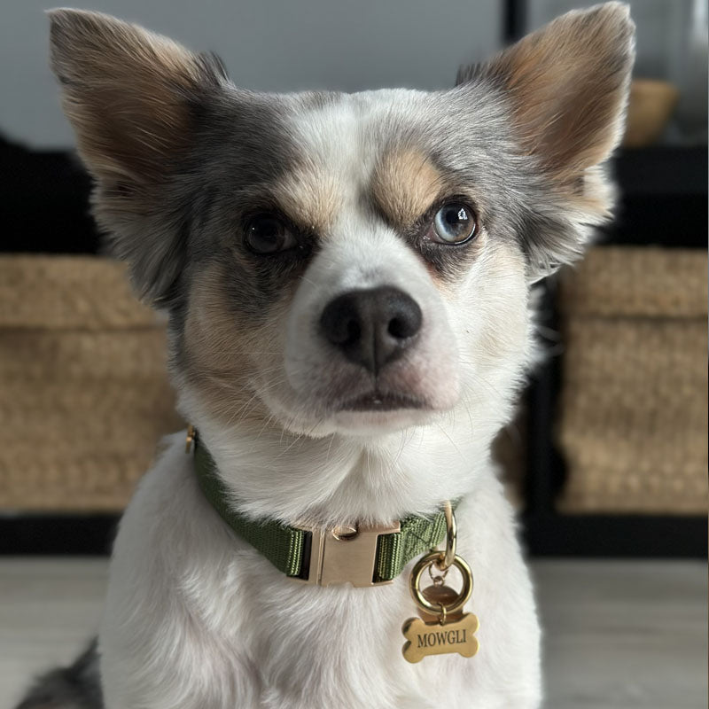 Médaille Os Gravée