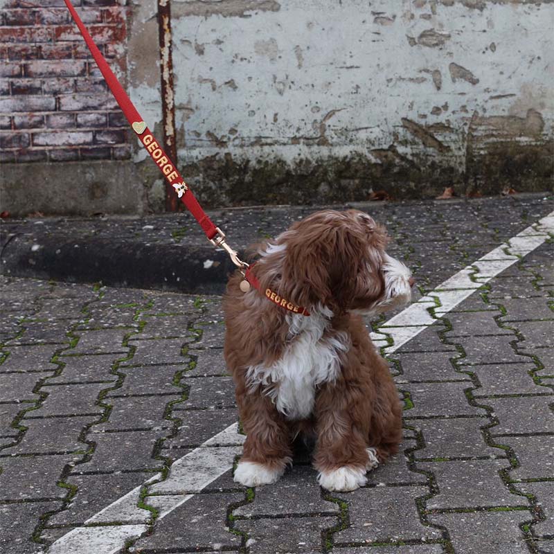 Collier Chiot Ruby Gale Rouge Rubis
