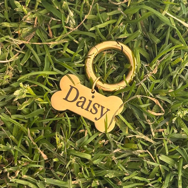 Médaille Os Gravée