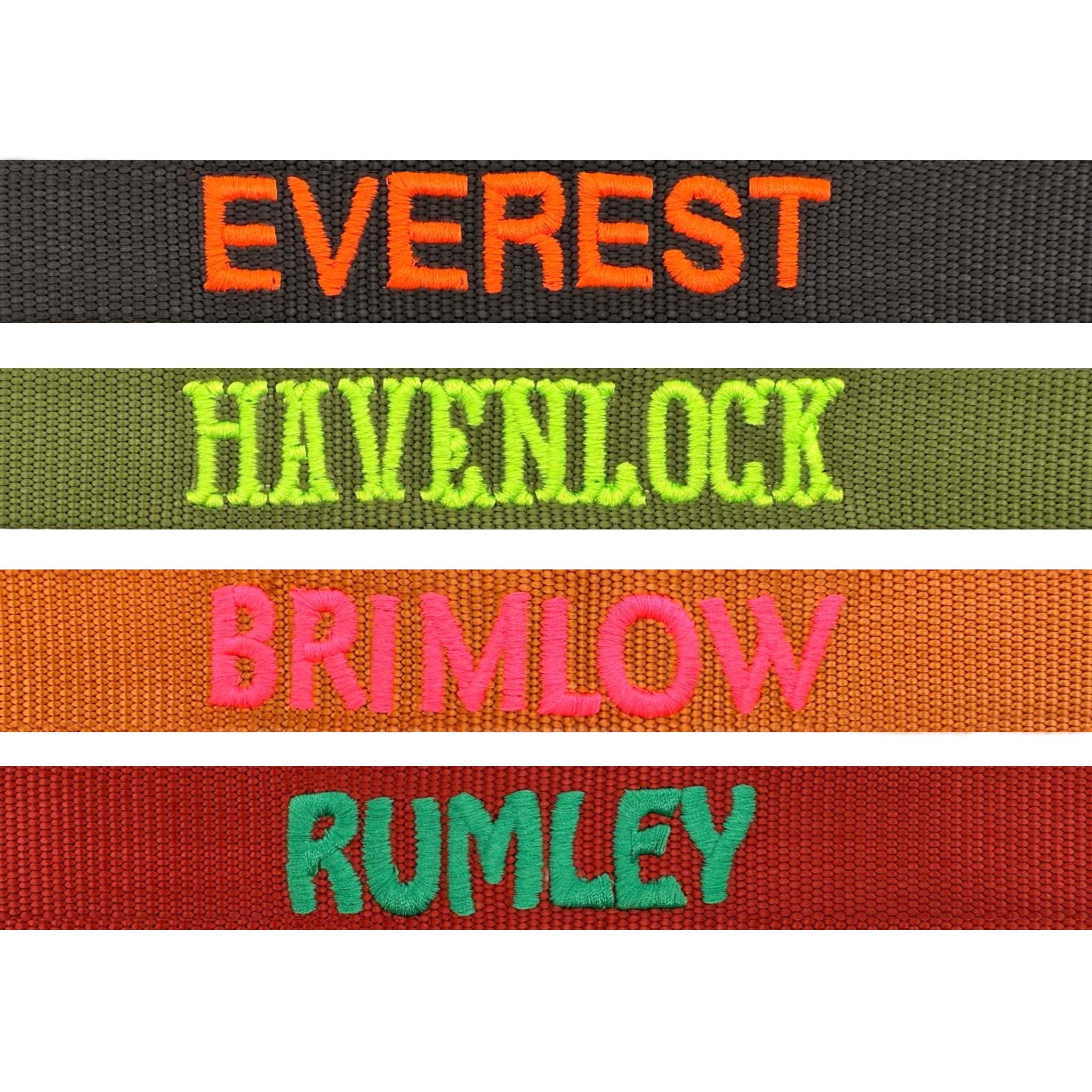 Laisse Tactique Chien Moss Forge Vert Olive