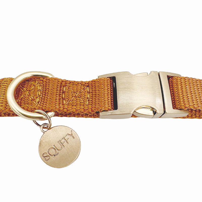 Collier Chien Classique Honey Drift Cognac