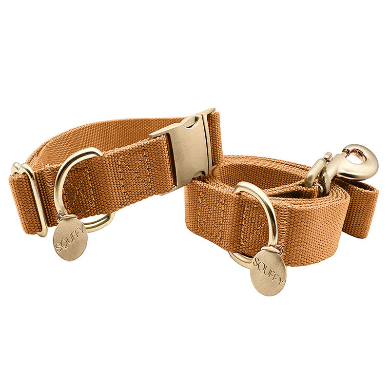 Collier Chien Classique Honey Drift Cognac