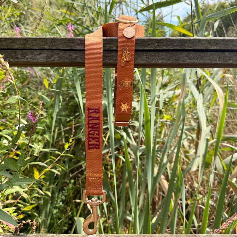 Collier Chien Classique Honey Drift Cognac