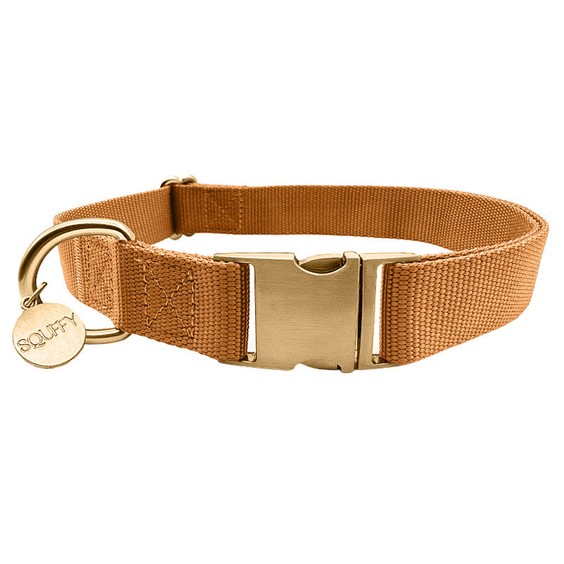 Collier Chien Classique Honey Drift Cognac
