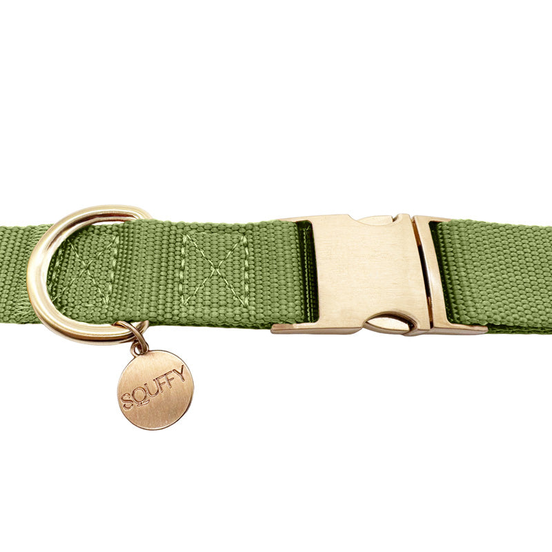 Collier Classique Chien Moss Breeze Vert Olive