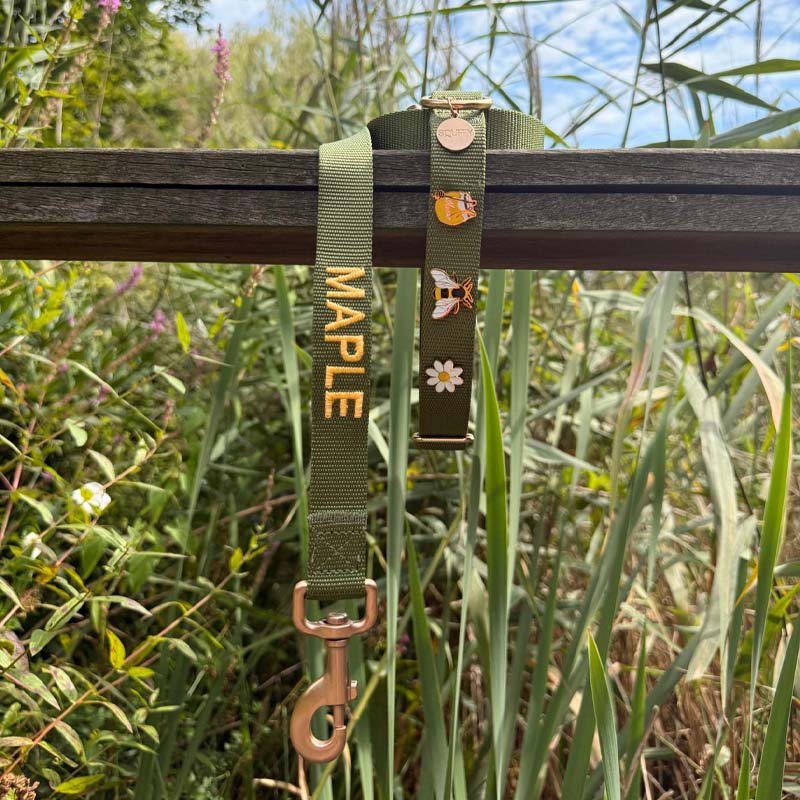Collier Classique Chien Moss Breeze Vert Olive
