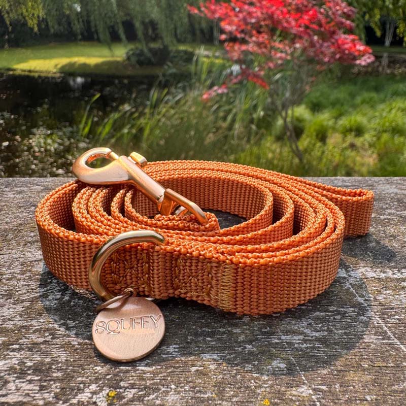 La Laisse Chiot Honey Drift Cognac