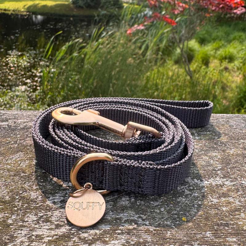 Laisse Chiot Raven Illume Noir