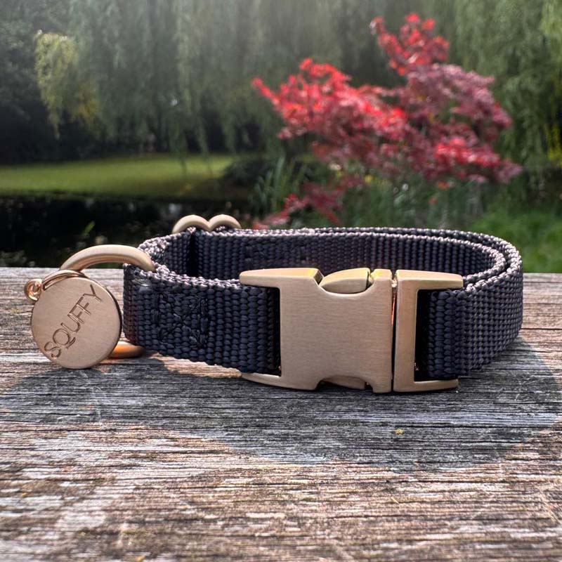 Collier Chiot Raven Illume Noir