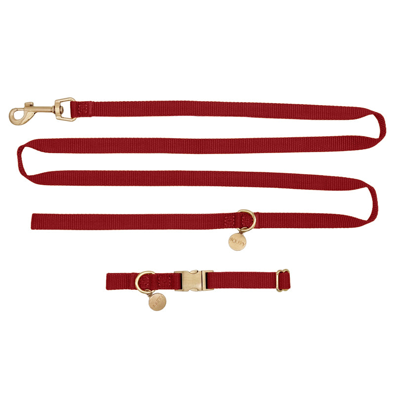 Collier Chiot Ruby Gale Rouge Rubis