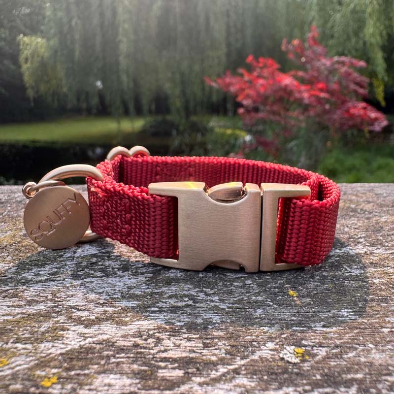 Collier Chiot Ruby Gale Rouge Rubis