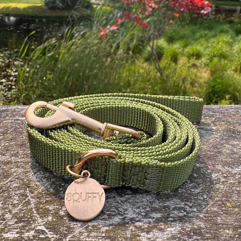 Laisse Chiot Moss Breeze Vert Olive