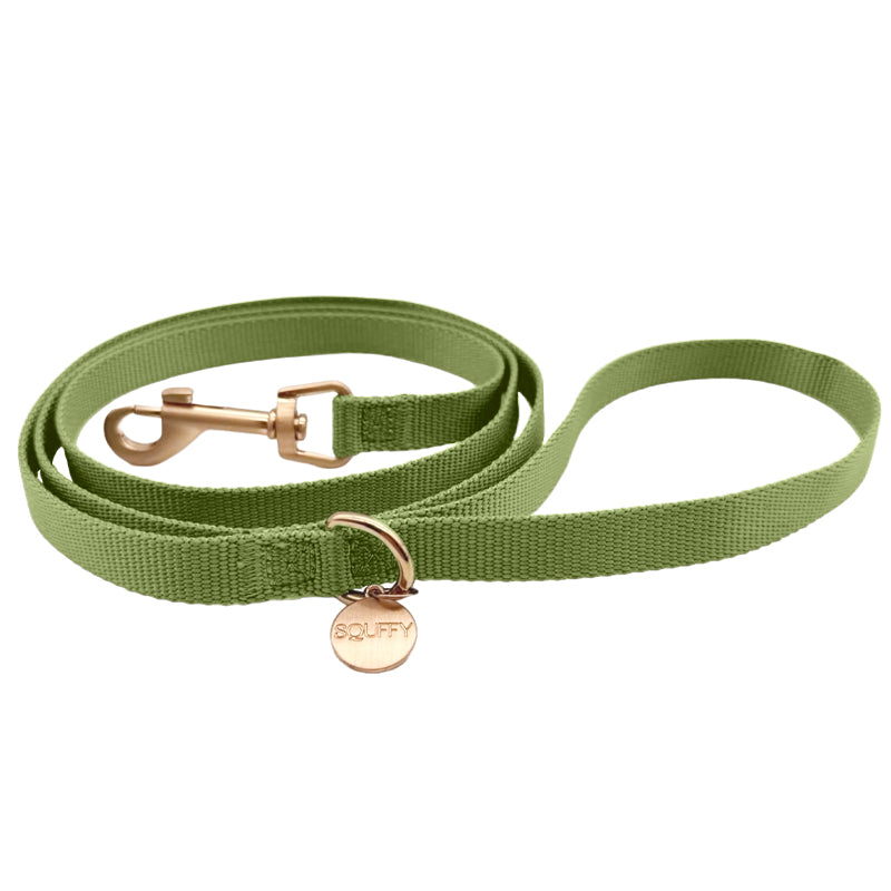 Laisse Chiot Moss Breeze Vert Olive