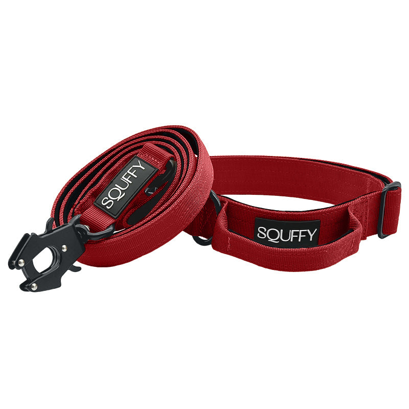 Collier Tactique Chien Ruby Vandal Rouge Rubis