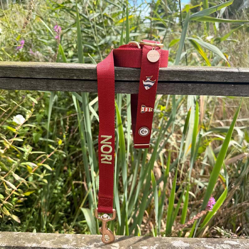 Laisse Chien Classique Ruby Gale Rouge Rubis