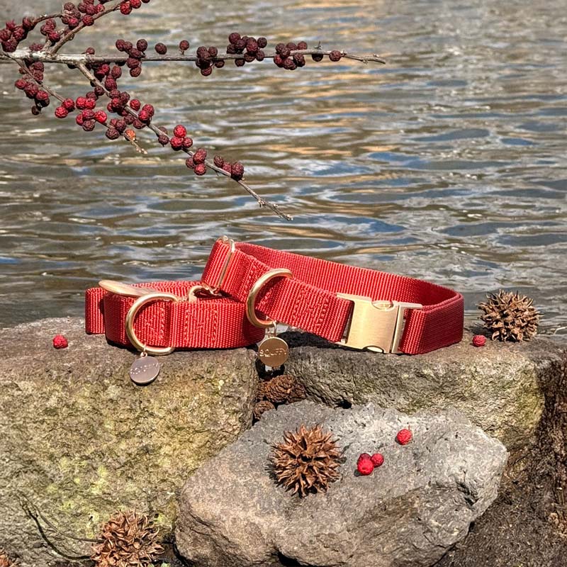 Collier Classique Ruby Gale Rouge Rubis