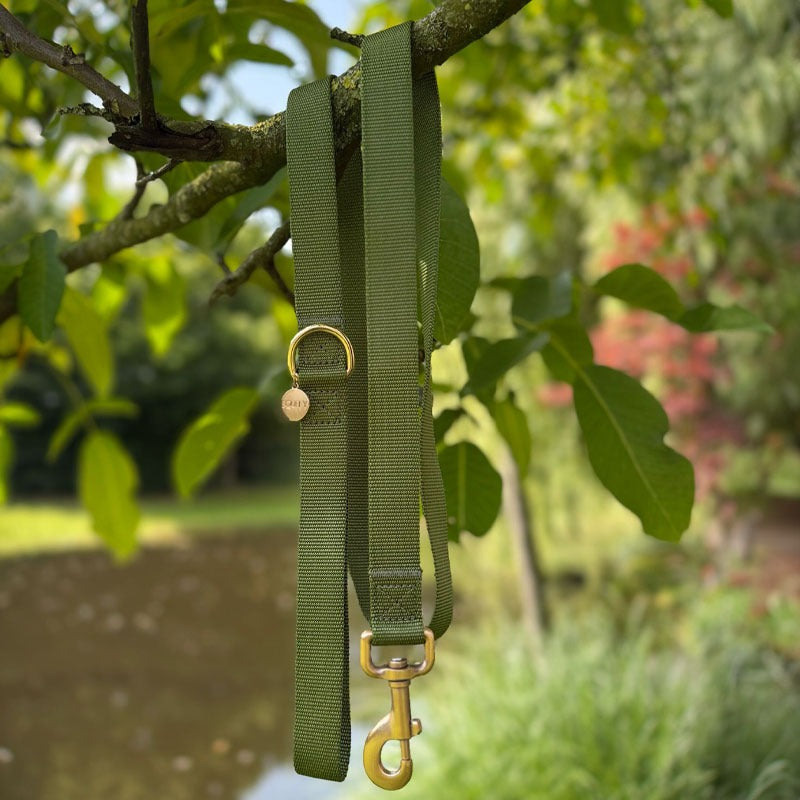 Laisse Classique Chien Moss Breeze Vert Olive