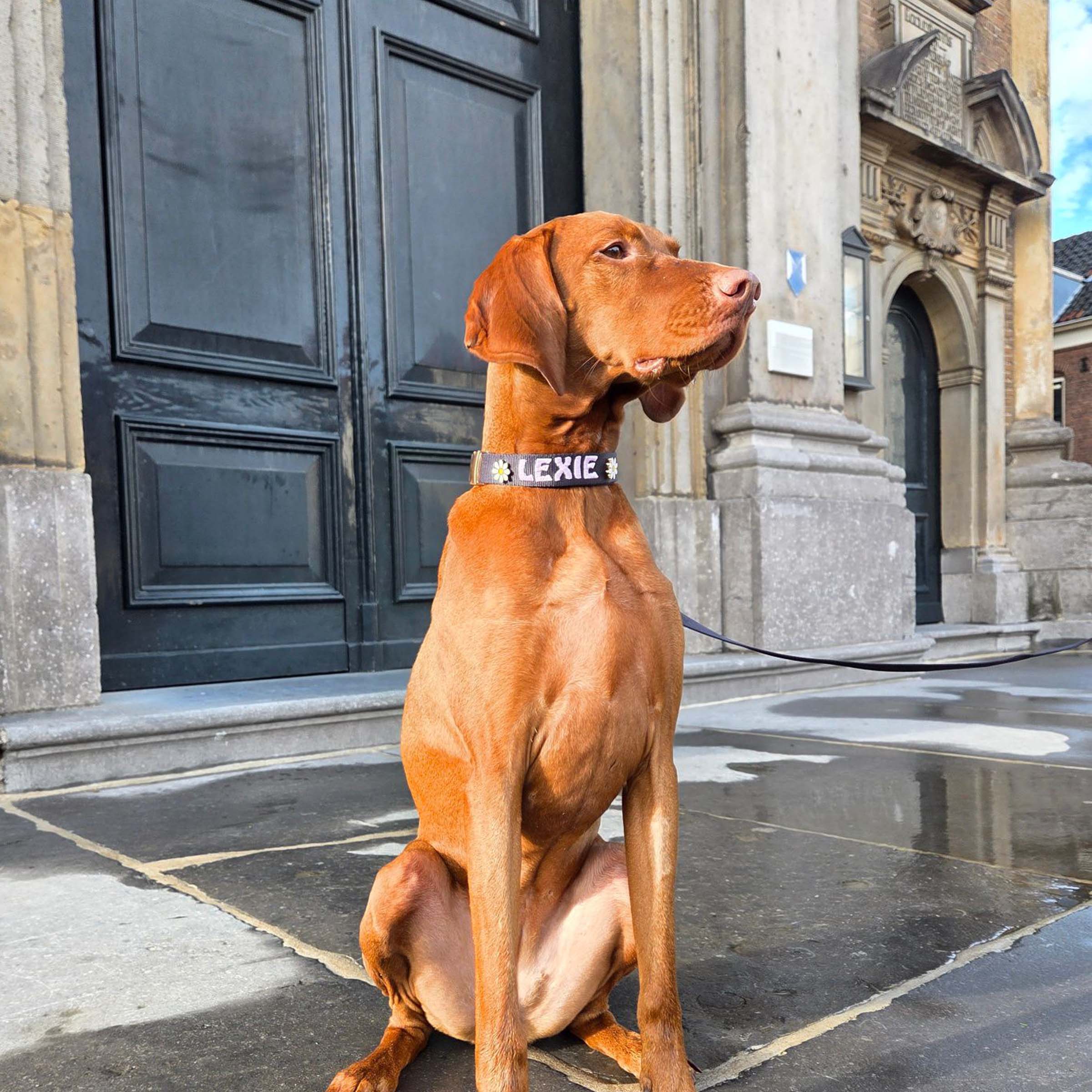 Broche Fleur de Marguerite