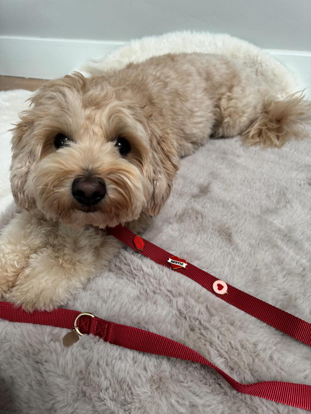 <p>Customer Experiences</p>