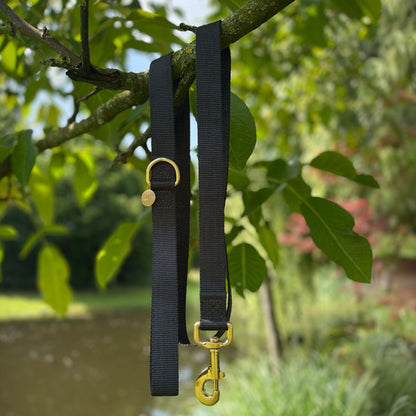 Laisse Chien Classique Raven Illume Noir