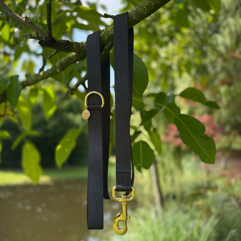 Laisse Chien Classique Raven Illume Noir