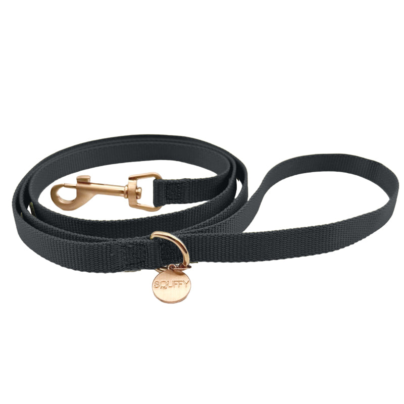 Laisse Chien Classique Raven Illume Noir