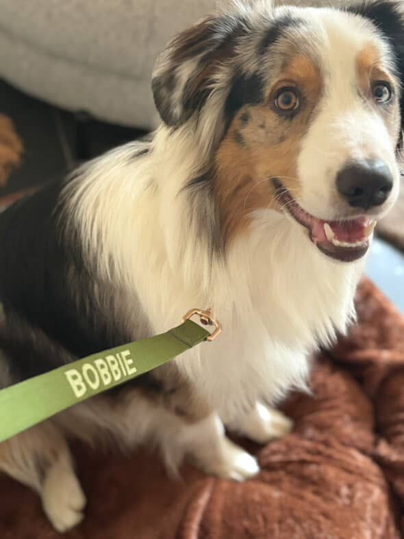 <p>Customer reviews</p>