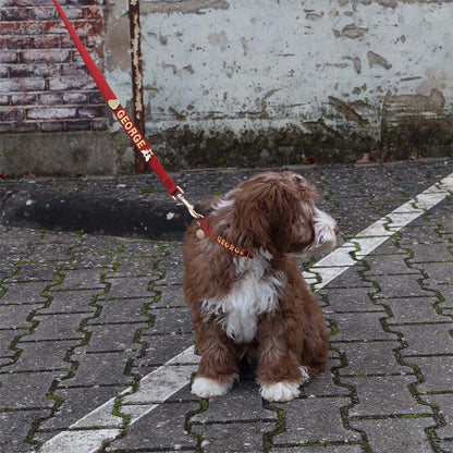 Collier Chiot Ruby Gale Rouge Rubis