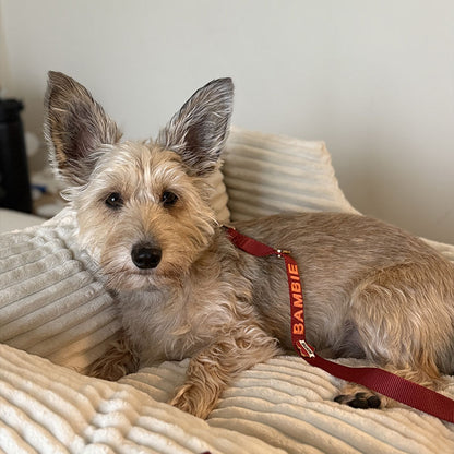 Laisse Chien Classique Ruby Gale Rouge Rubis