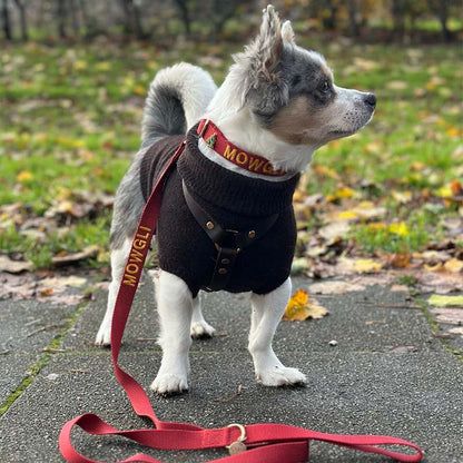 Laisse Chien Classique Ruby Gale Rouge Rubis