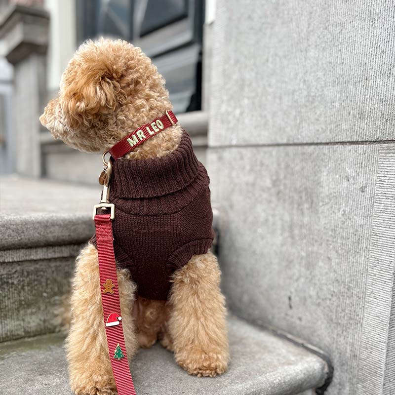 Collier Chiot Ruby Gale Rouge Rubis