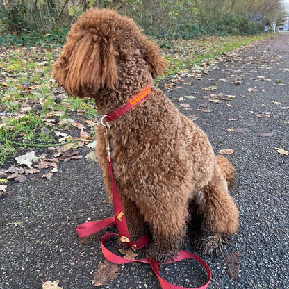 Laisse Chien Classique Ruby Gale Rouge Rubis