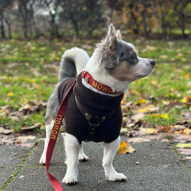 <p>Customer reviews</p>