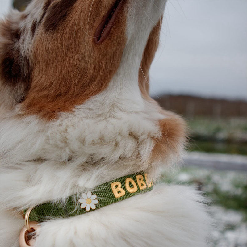 Broche Fleur de Marguerite