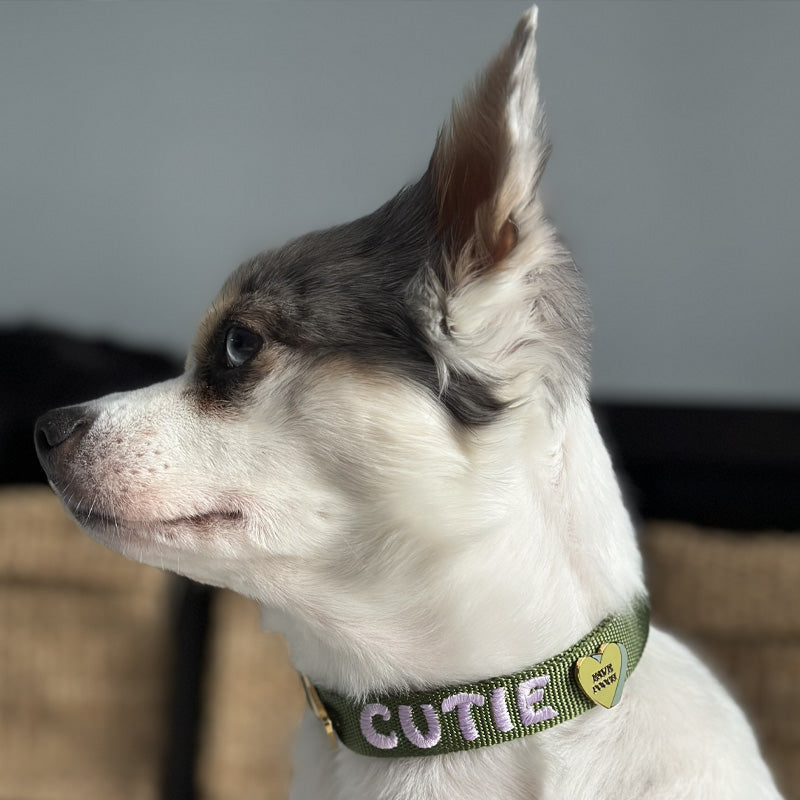 Cœur Fave Pooch
