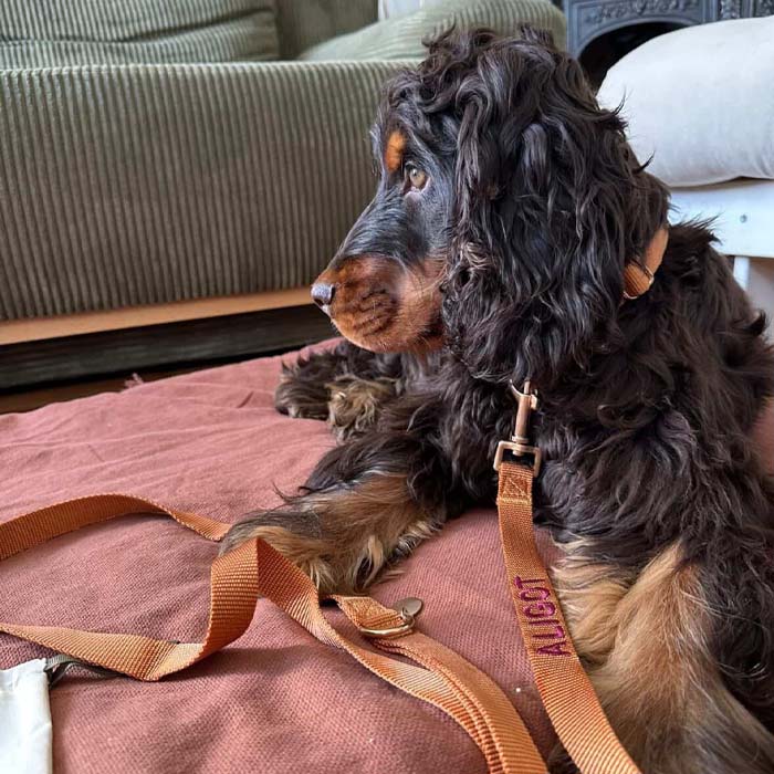 <p>Customer reviews</p>