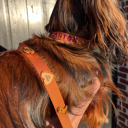 Collier Chiot Honey Drift Cognac