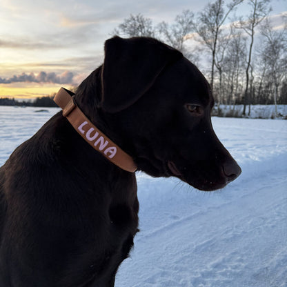 Collier Chien Tactique Honey Maze Cognac