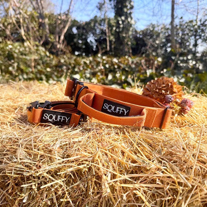 Collier Chien Tactique Honey Maze Cognac