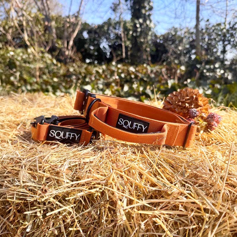 Collier Chien Tactique Honey Maze Cognac