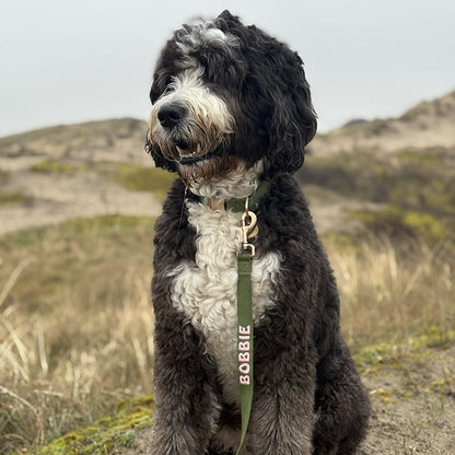 Laisse Classique Chien Moss Breeze Vert Olive