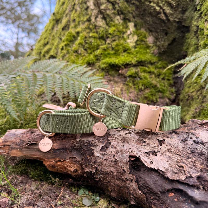 Collier Classique Chien Moss Breeze Vert Olive