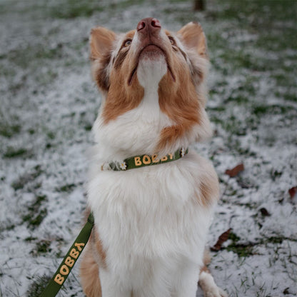 Collier Classique Chien Moss Breeze Vert Olive
