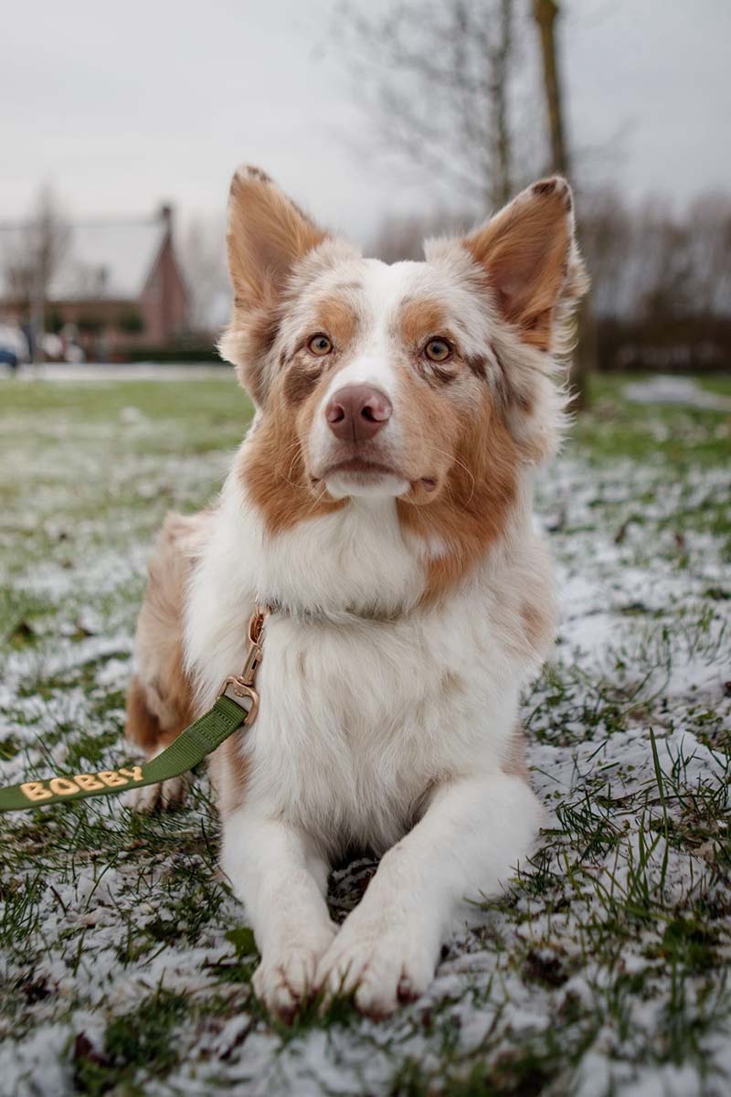 <p>Customer Experiences</p>