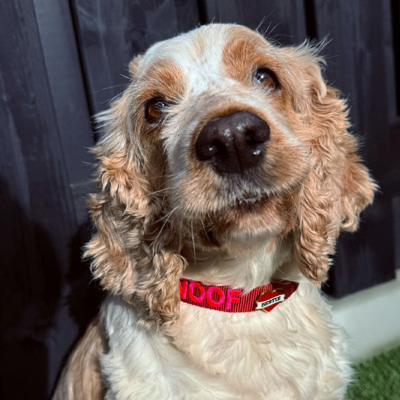 <p>Customer reviews</p>