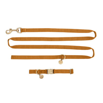 Collier Chiot Honey Drift Cognac