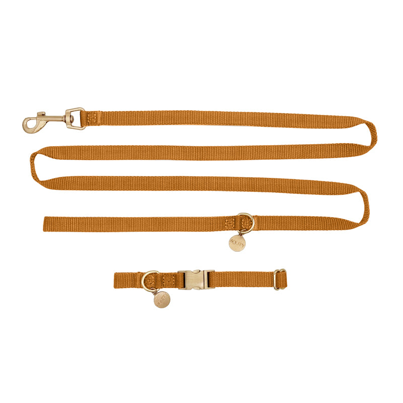 Collier Chiot Honey Drift Cognac