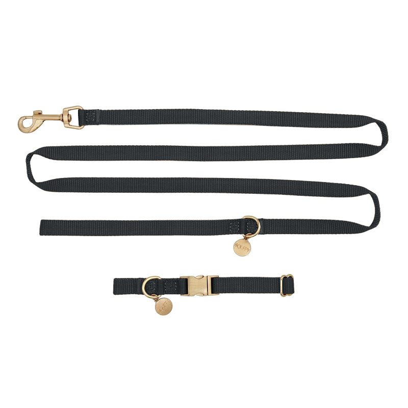 Collier Chiot Raven Illume Noir