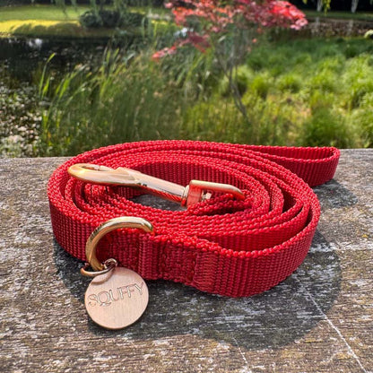 Laisse Chiot Ruby Gale Rouge Rubis