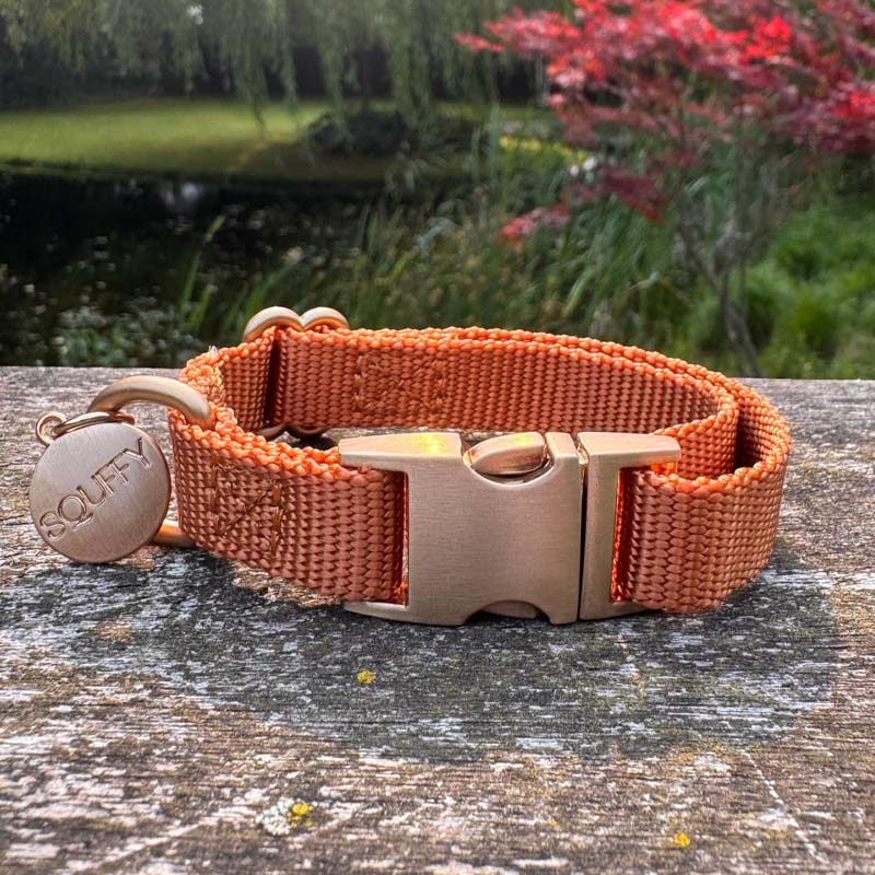 Collier Chiot Honey Drift Cognac